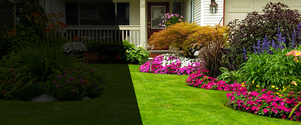 Woodway Landscapers