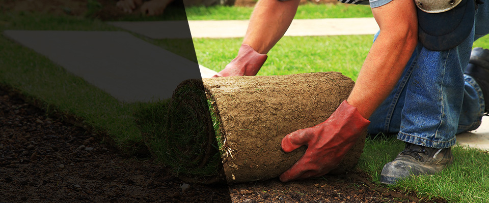Woodway Landscapers